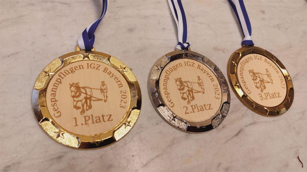IGZ Medaille 