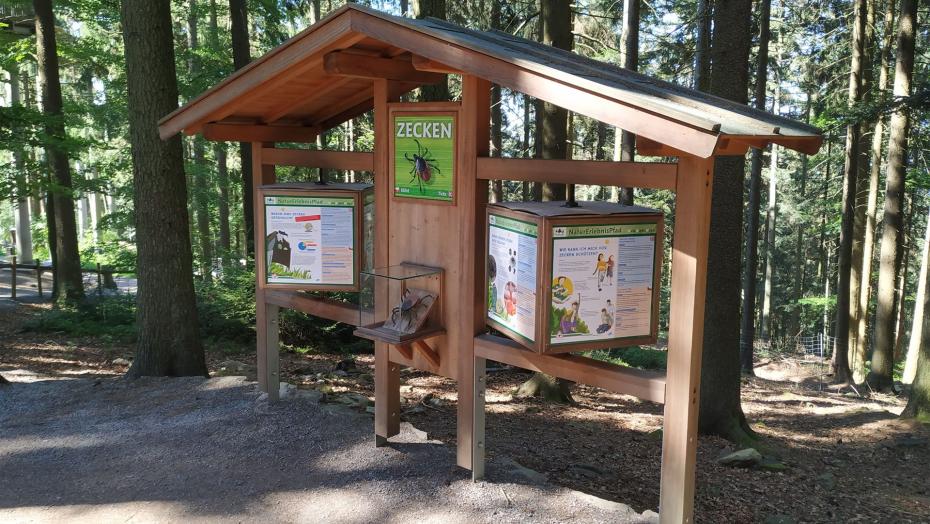 Infotafel Schildersystem Holz